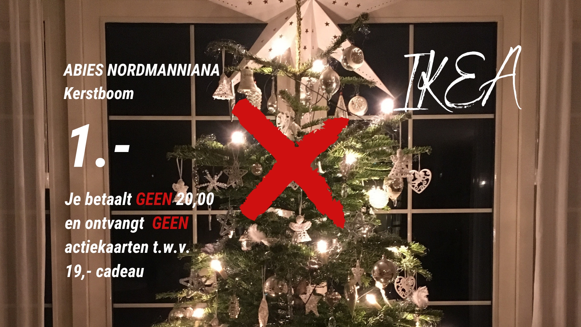 Briesje ei Geleend IKEA stopt met 1 euro kerstbomenactie en kiest voor een alternatieve  kerstboom - Level Next